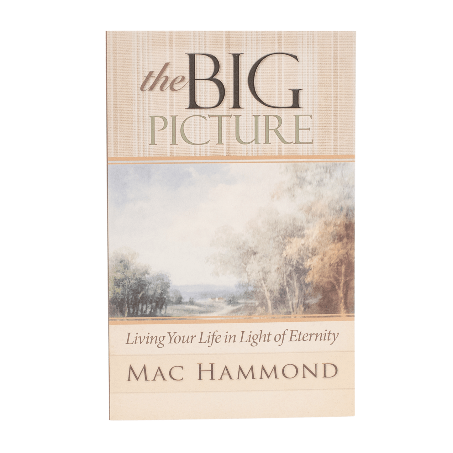 The Big Picture