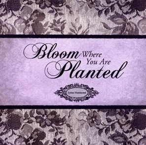 Bloom Where You Are Planted - MP3