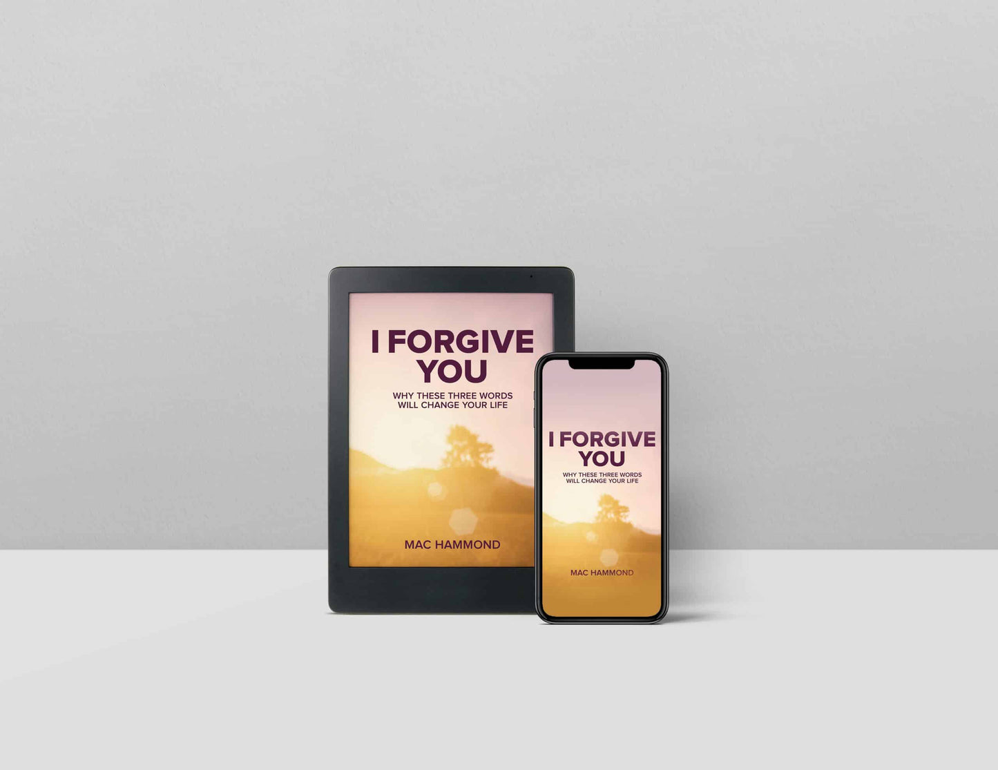 I Forgive You E-Book