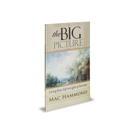 The Big Picture